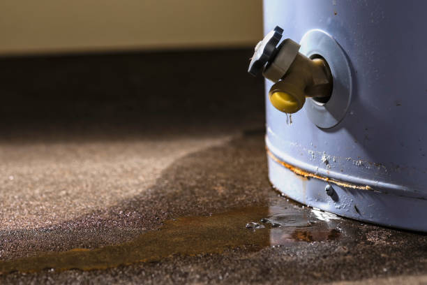 Best Flooded house restoration  in Montgomery Village, MD