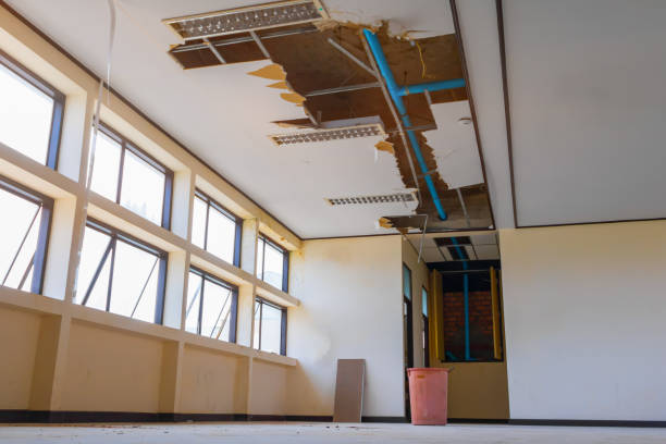 Best Water damage cleanup near me  in Montgomery Village, MD