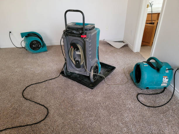 Best Fire Damage Restoration  in Montgomery Village, MD