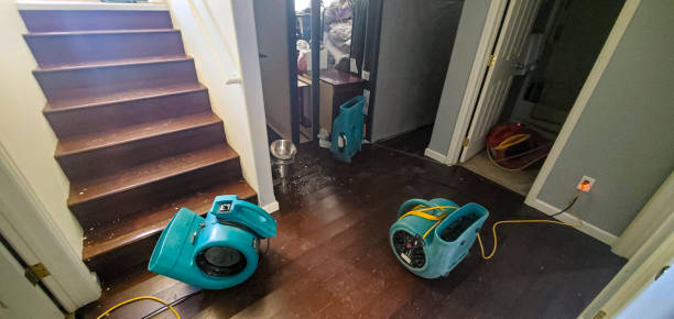 Best Mold removal after water damage  in Montgomery Village, MD