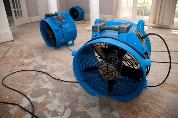 Best Local water damage restoration  in Montgomery Village, MD