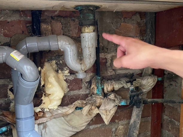 Best Ceiling water damage repair  in Montgomery Village, MD