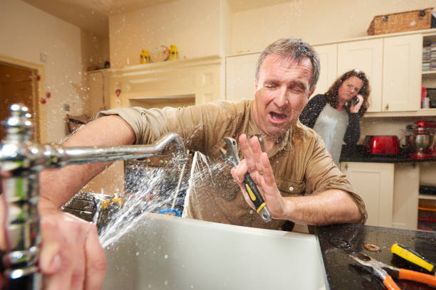 Best Flood damage cleanup  in Montgomery Village, MD